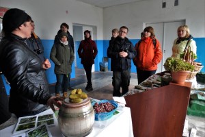 Дослідна станція 